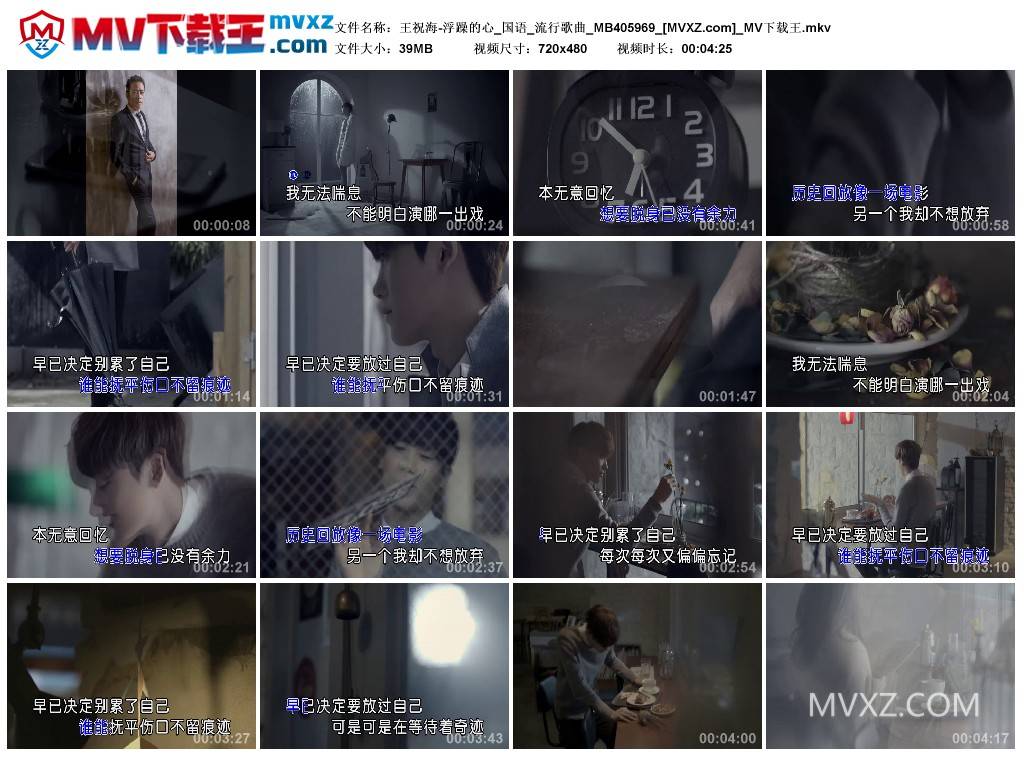 王祝海-浮躁的心_国语_流行歌曲_MB405969